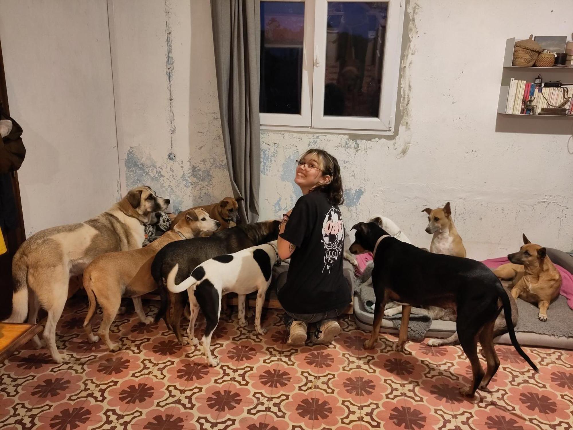 Cosy Nest In Animal Rescue Monte Dos Vagabundos Hotel Sao Teotonio Ngoại thất bức ảnh